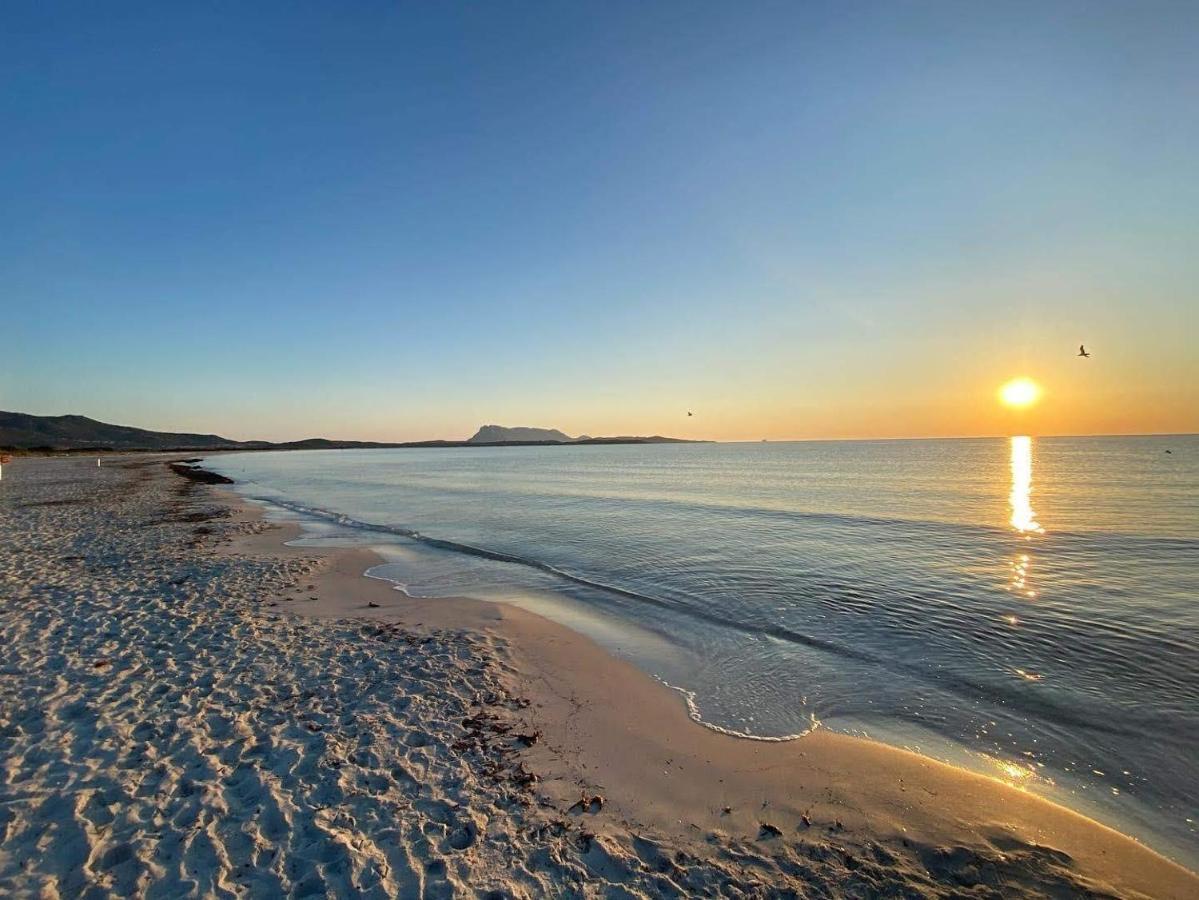 B&B Florian San Teodoro  Bagian luar foto